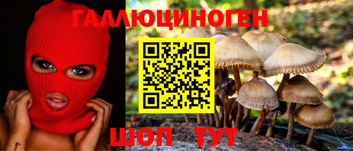 Псилоцибиновые грибы Cubensis  Вход с VPN  Норильск 