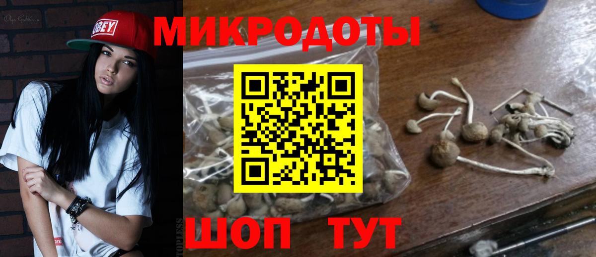 Псилоцибиновые грибы Magic Shrooms Норильск